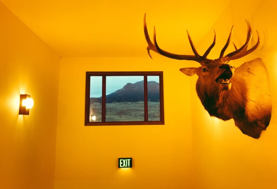 RBG at 50: Photo & Video