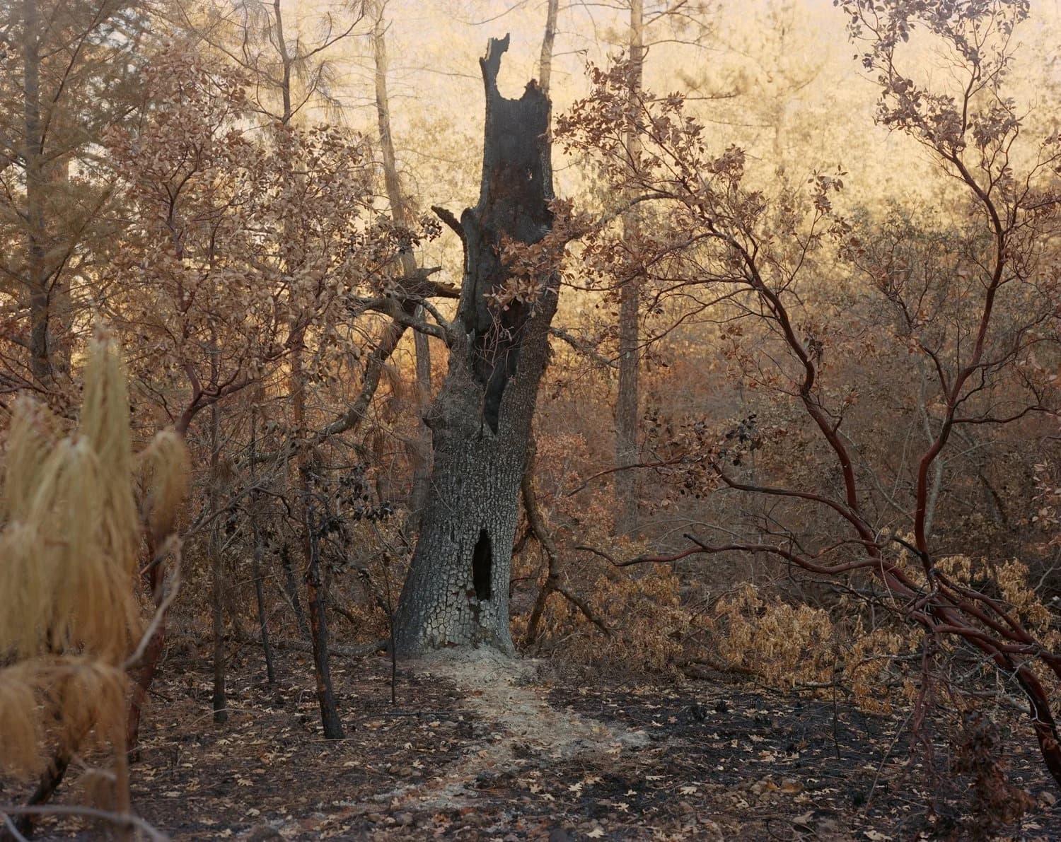 Summer Group Exhibition