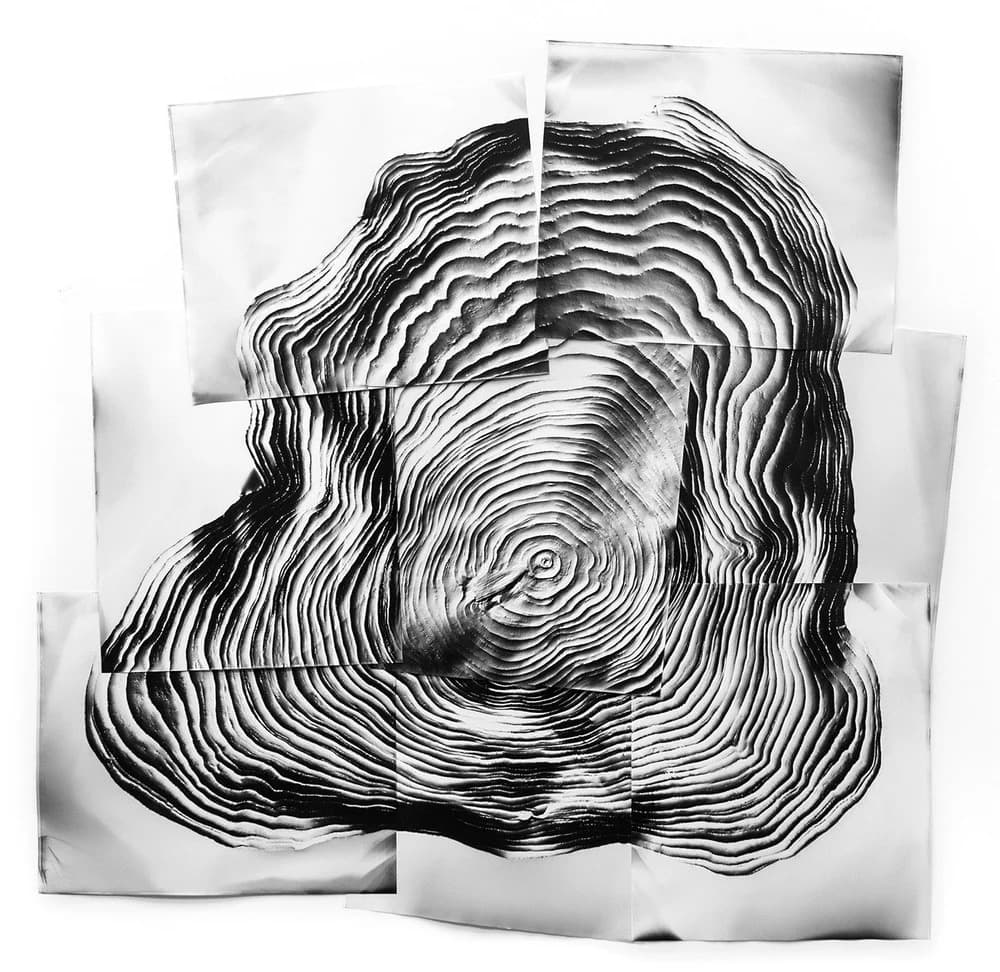 Summer Group Exhibition