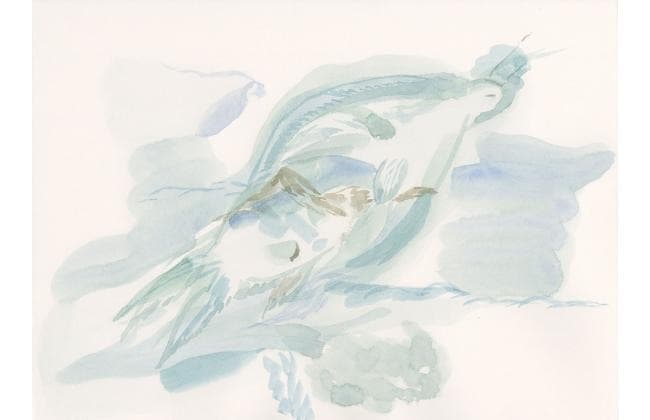 Teaching Wall / Panther Meadows and Dangerous Worlds: Contemporary Readings of Asian American Landscapes