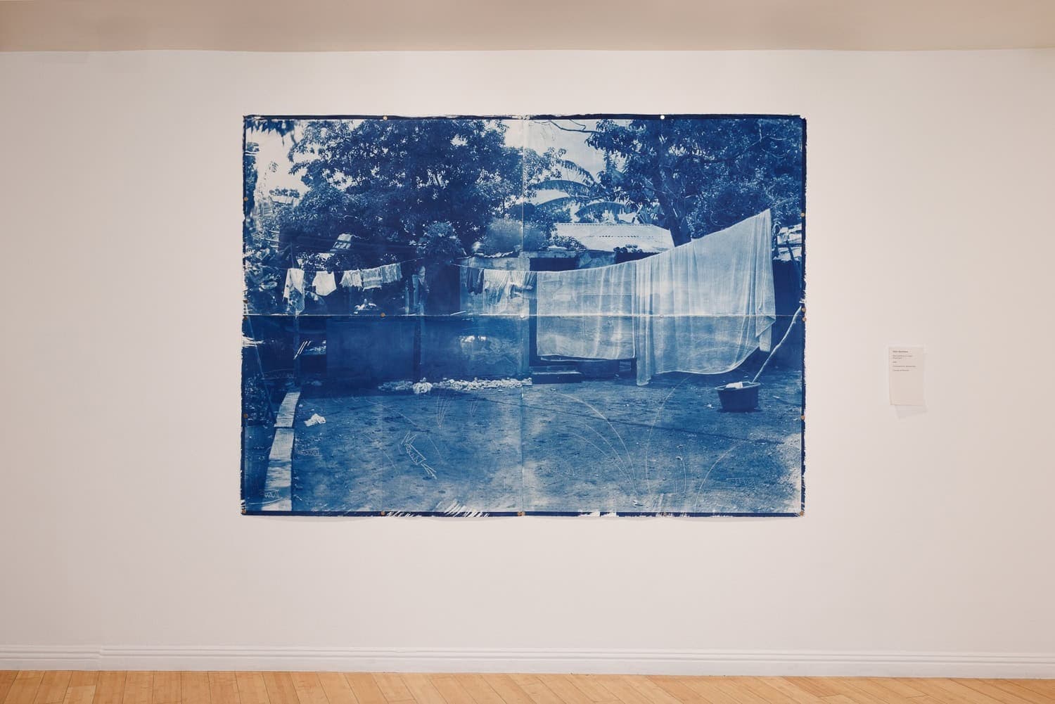 the air we share The 2024-2025 CCF Fellowship for Visual Artists Exhibition