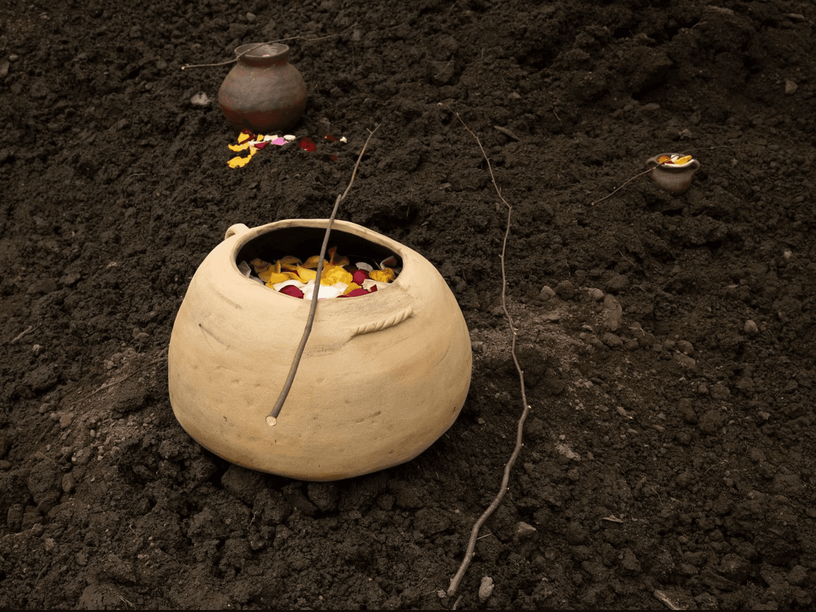 Several Eternities in a Day: Form in the Age of Living Materials