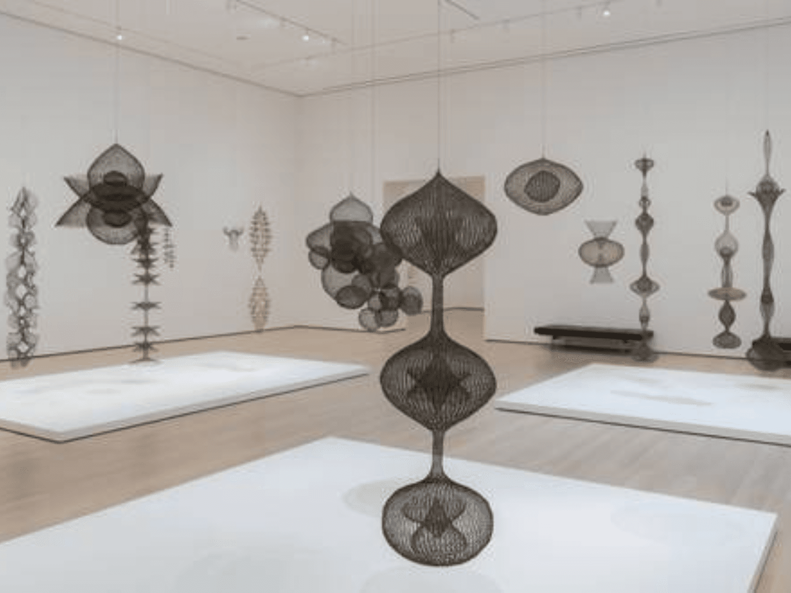 Ruth Asawa: A Retrospective