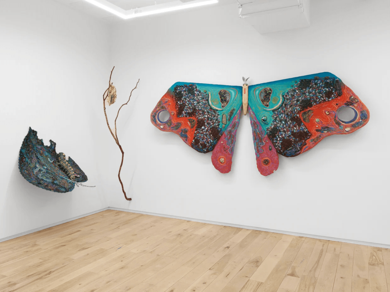 Ye Zhu: Underbelly Bloom