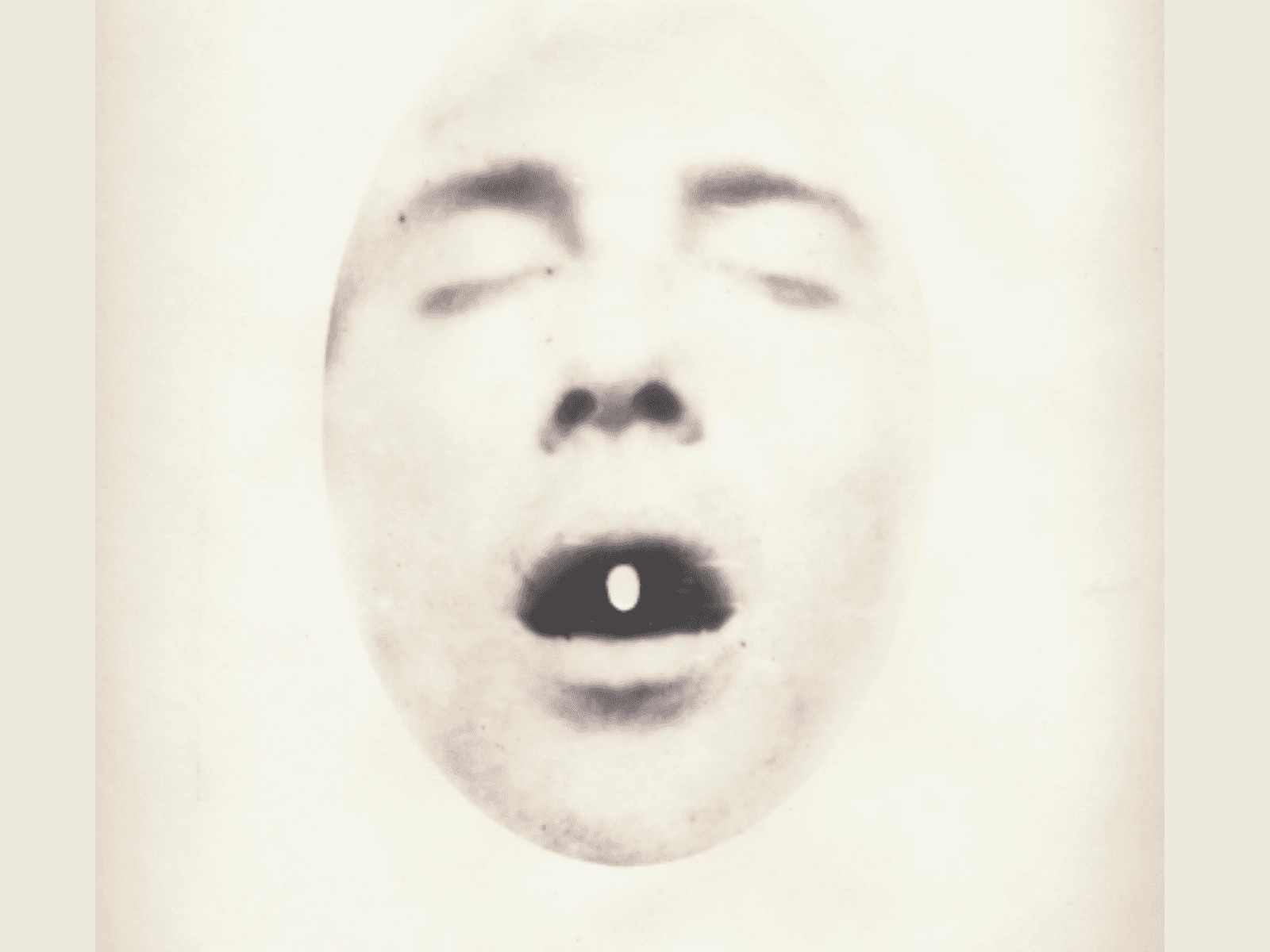 Dan Estabrook: Forever & Never