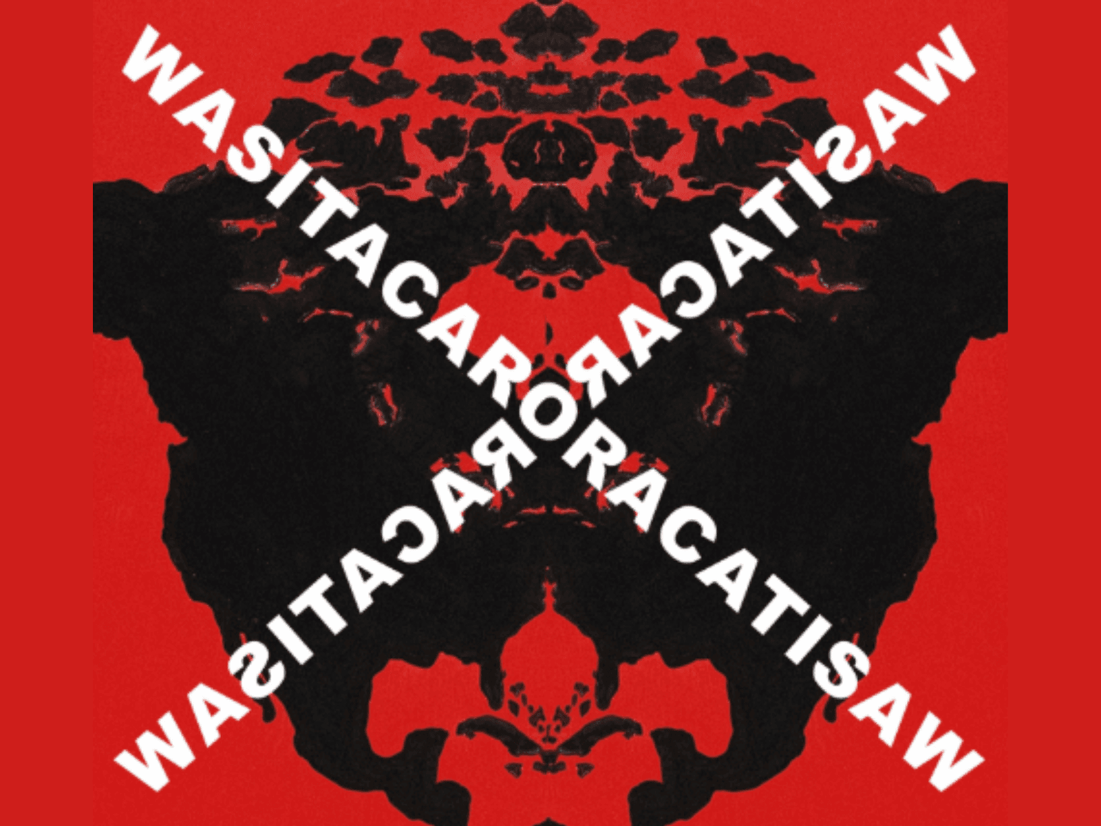 Was it a car or a cat I saw? 