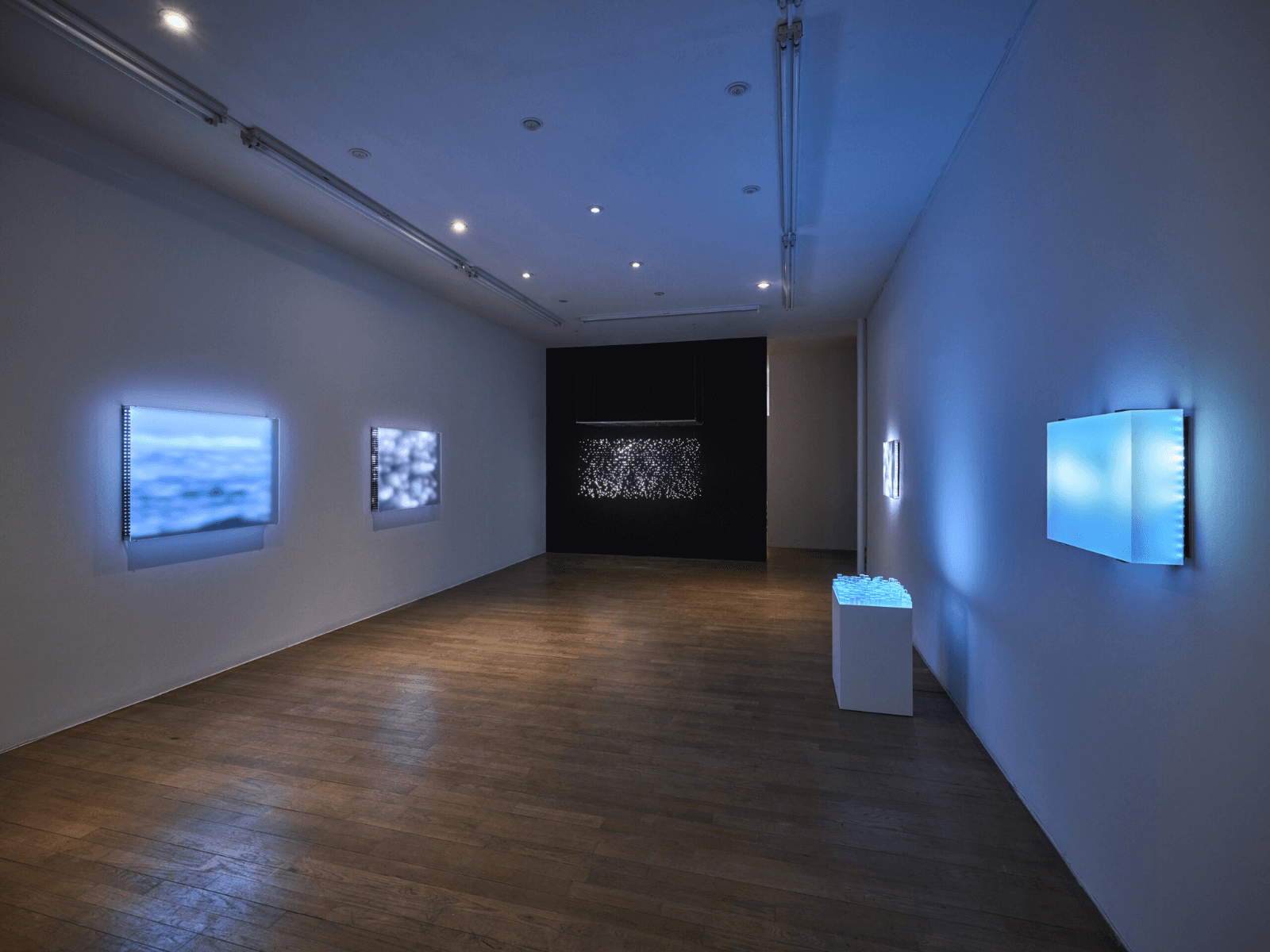 Jim Campbell: Encoding Light