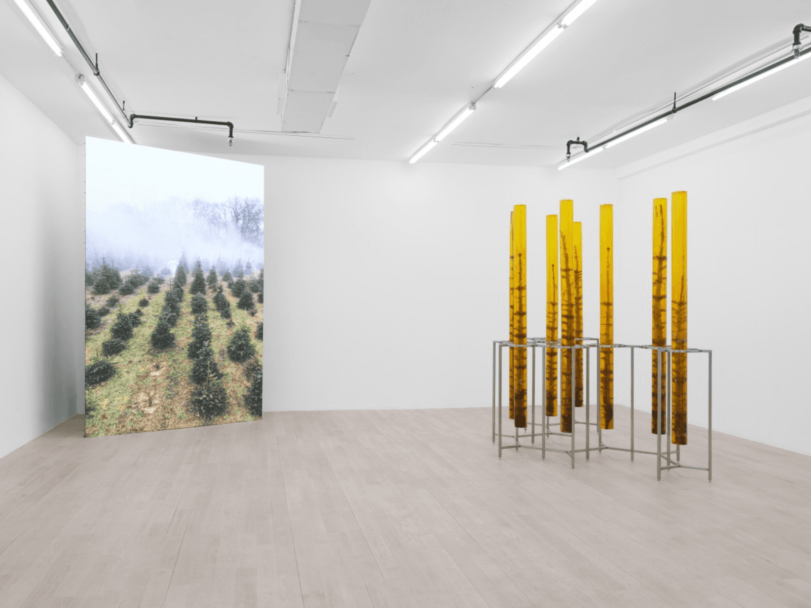 Jura Shust: Außerkörperliche Erfahrung: Wandering Spirit