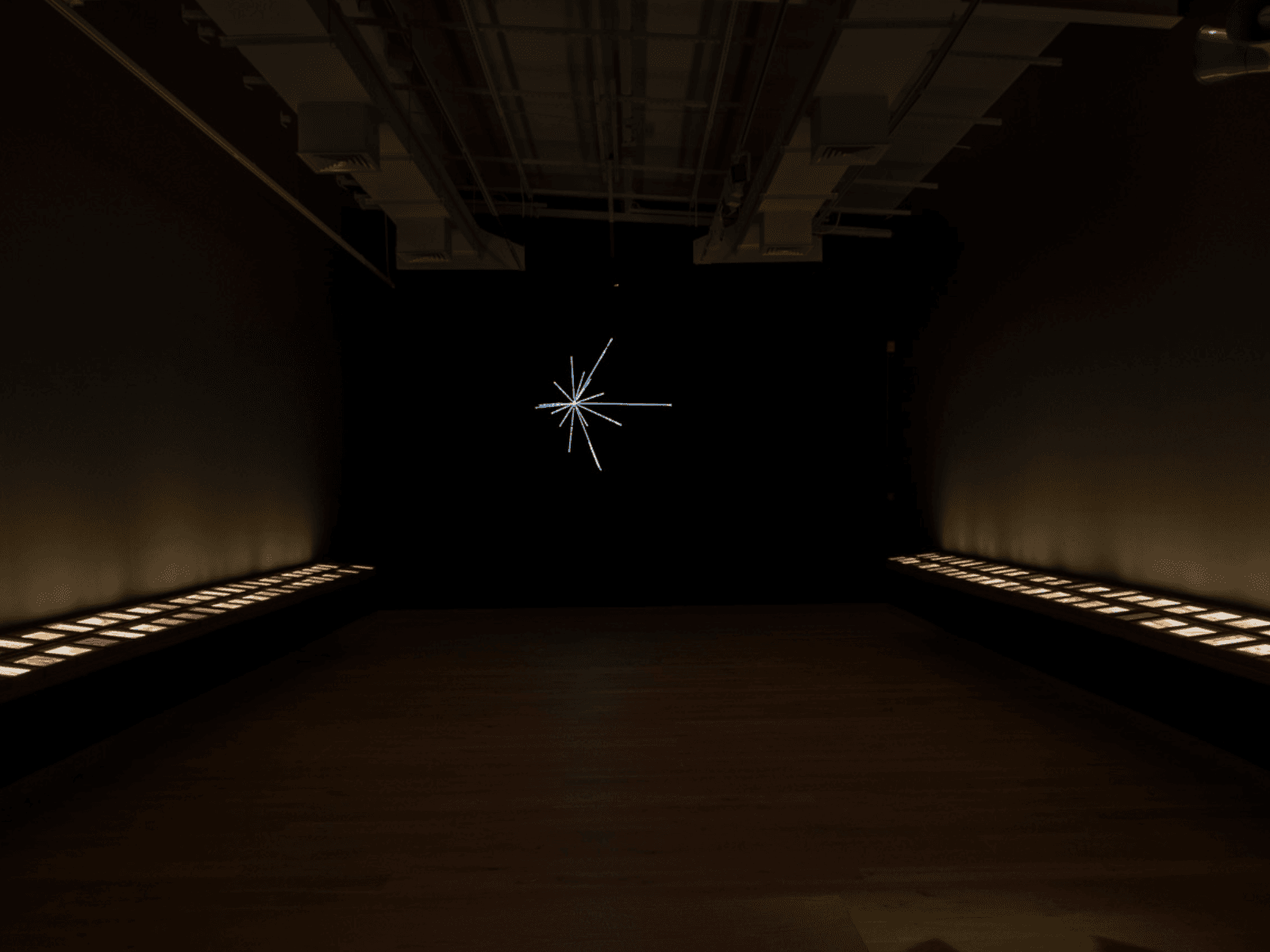 Jitish Kallat: Covering Letter (Terranum Nuncius)