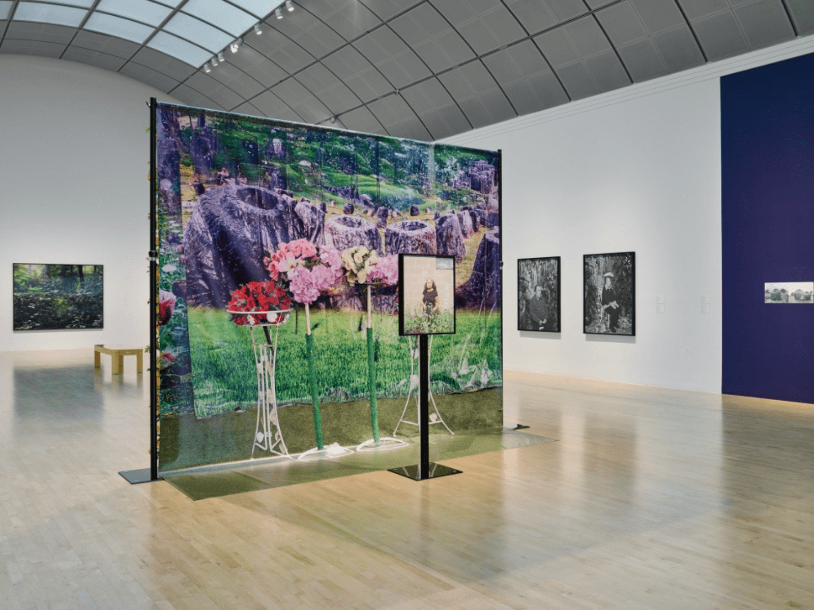 Pao Houa Her: The Imaginative Landscape