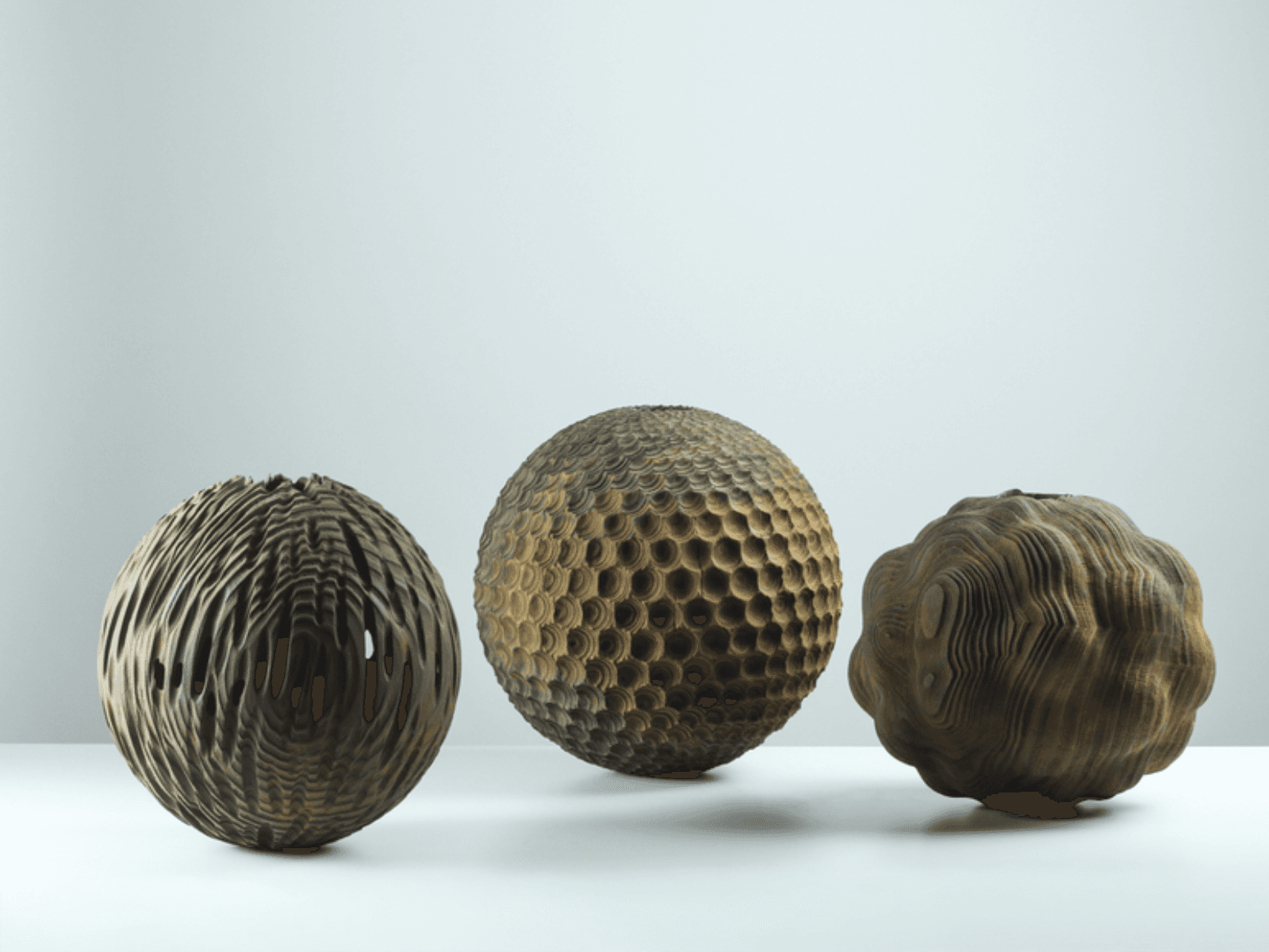 In Light and in Shadow