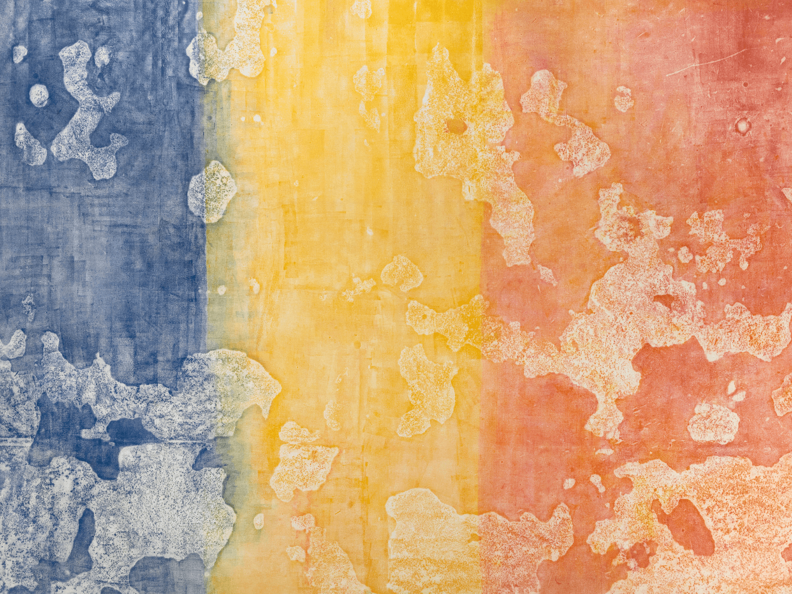 Sari Dienes: Night Eyes