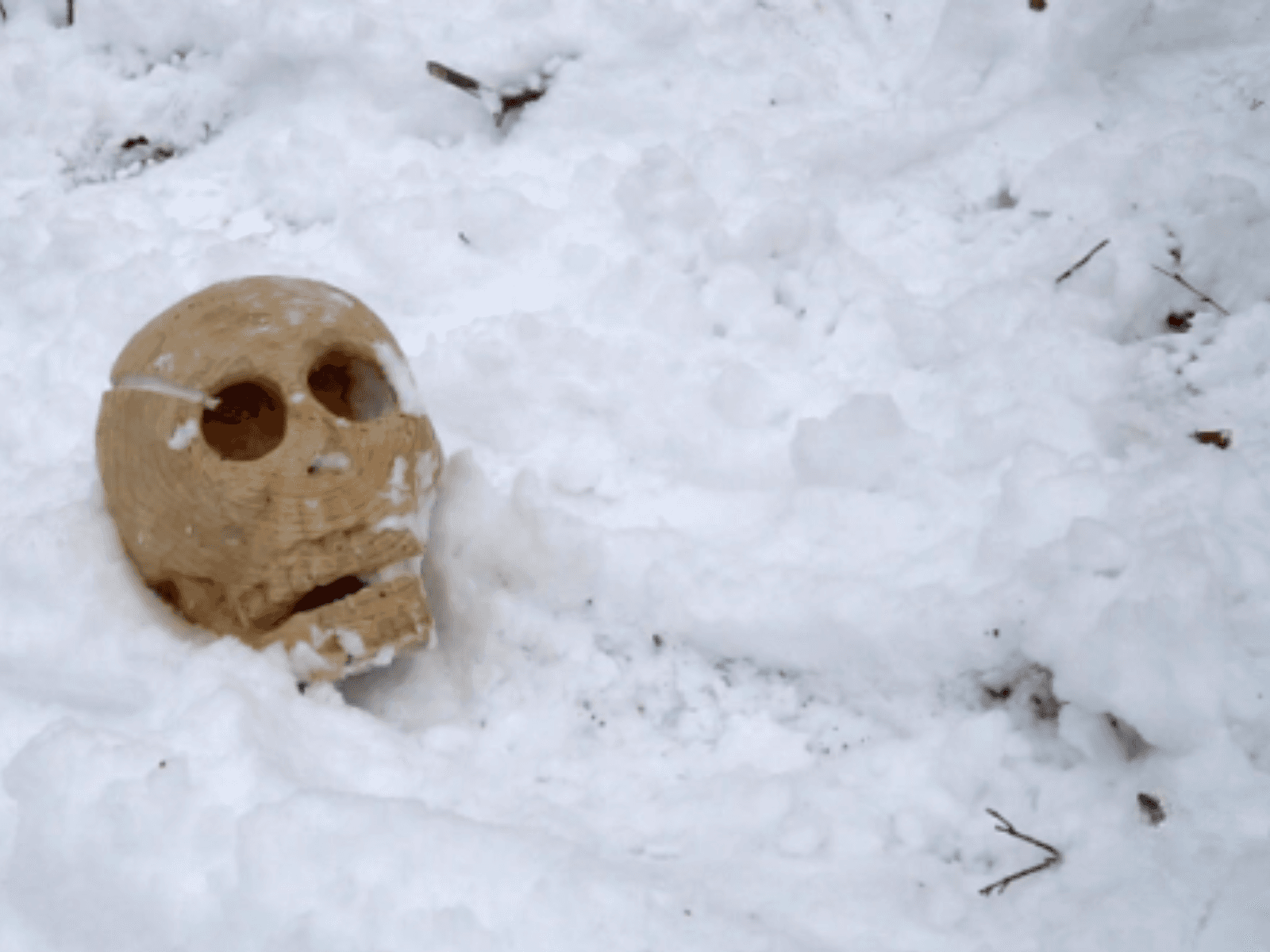 Paz Sher: Justice [laughter] Justice