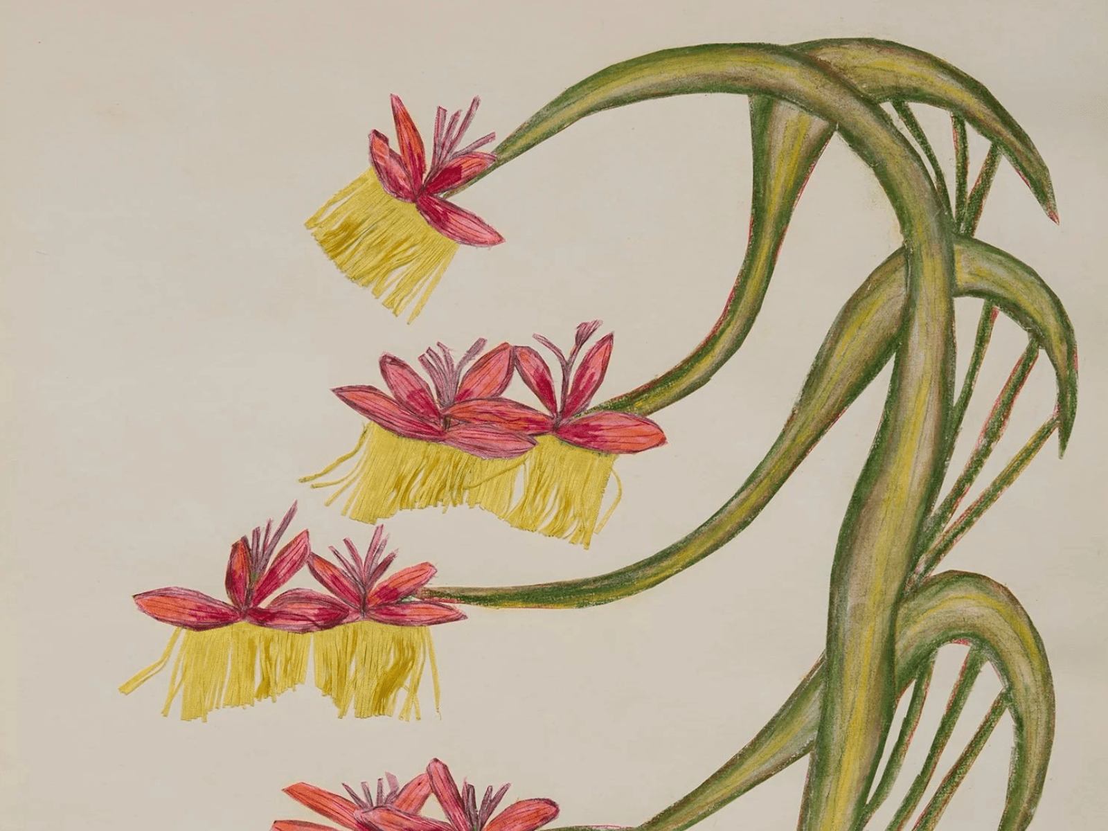 Anna Zemánková: Collaging the Visionary