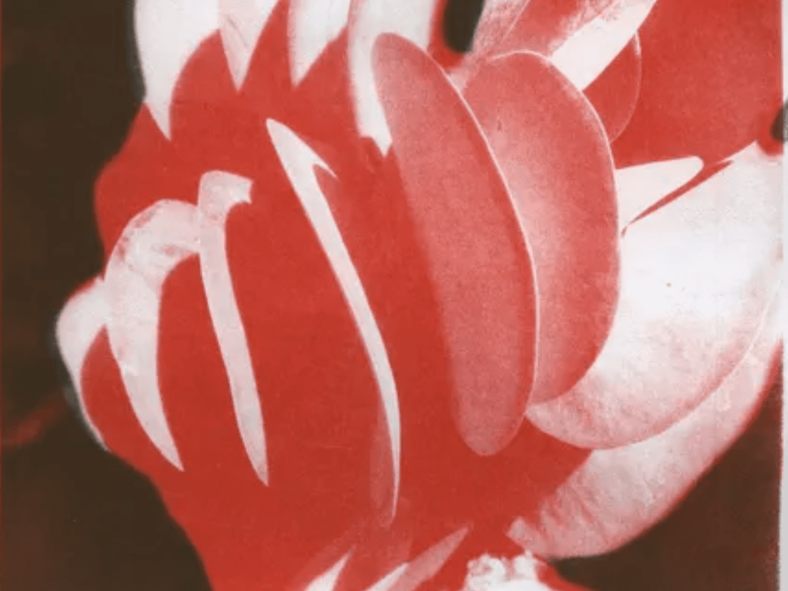 Mariah Robertson: Phase Shift