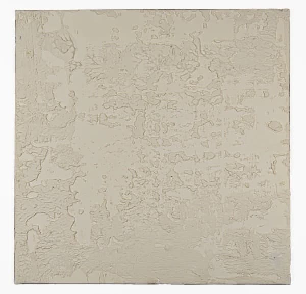 Pamela Smith Hudson: Time Lapse