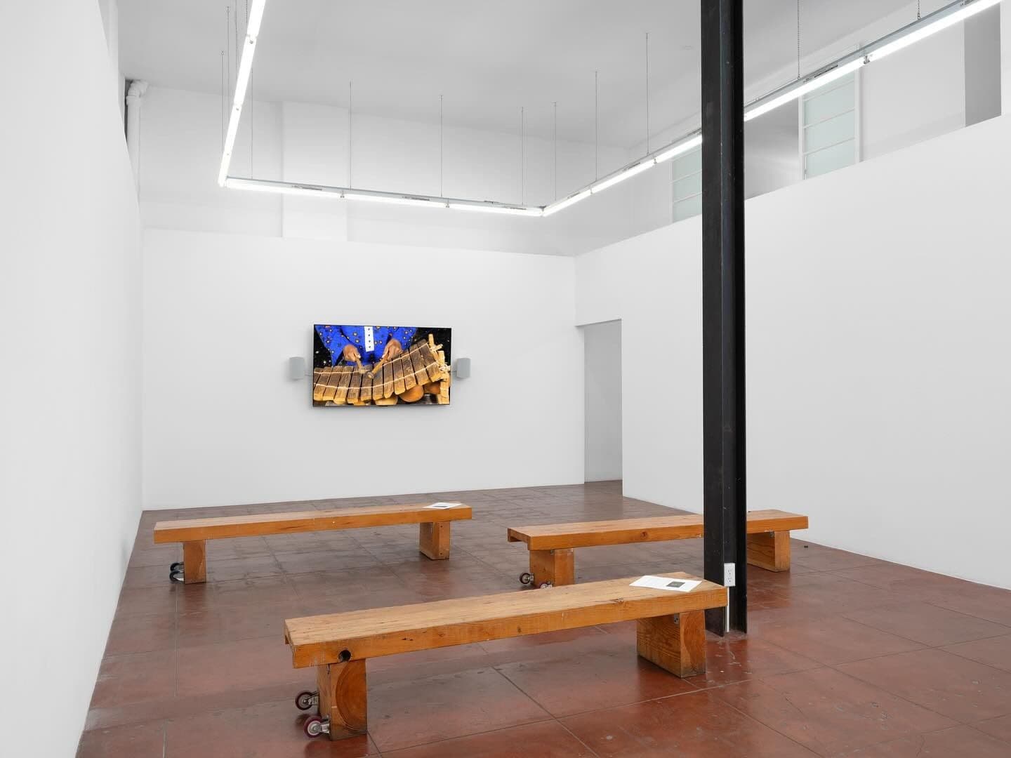 New and Recent Videos