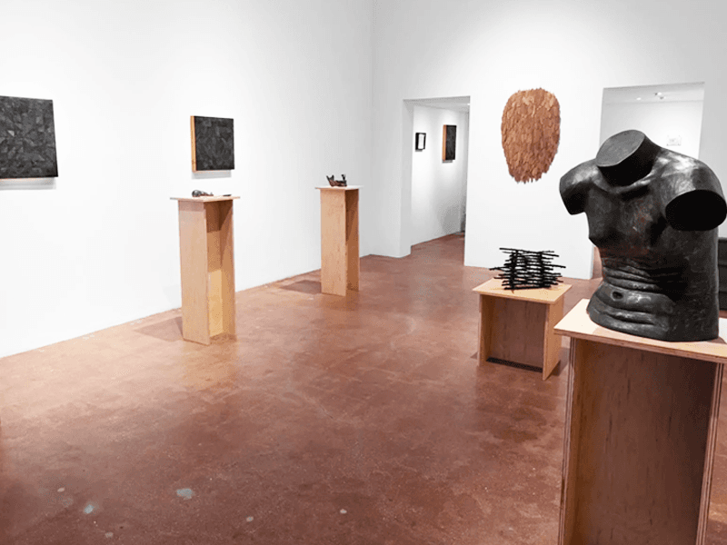 Camilla Taylor: Unkindness