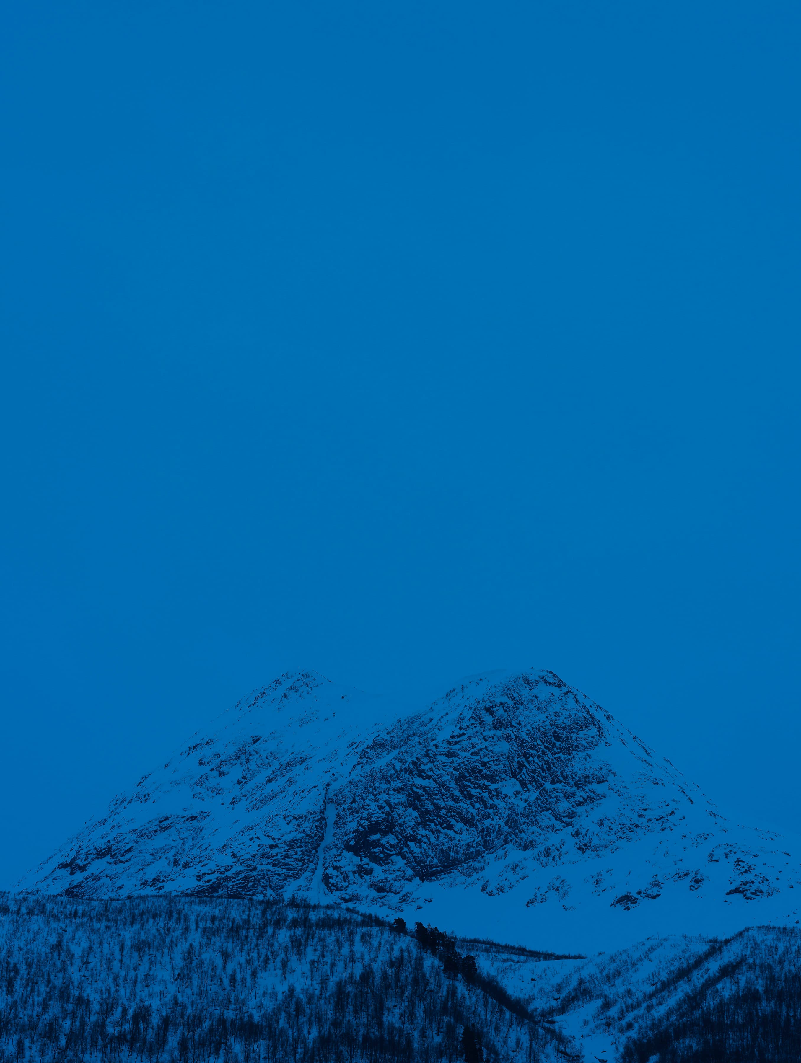 Holding Blue