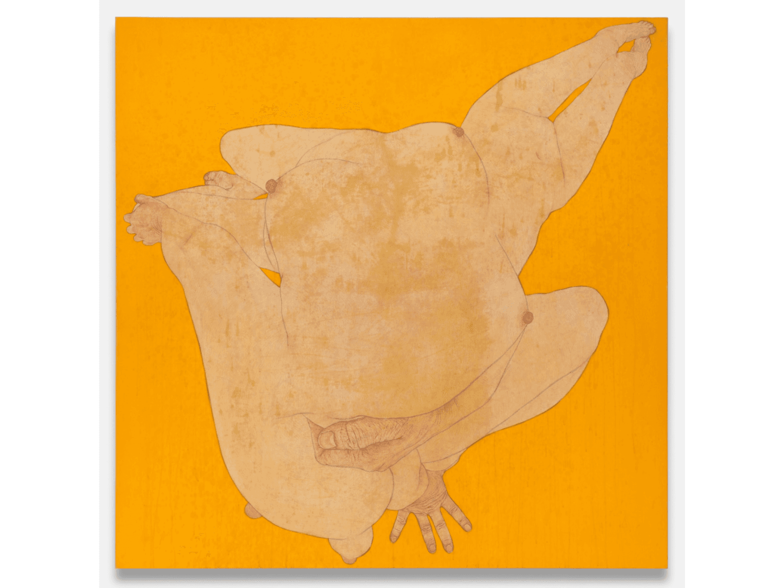 Suspended Landscapes