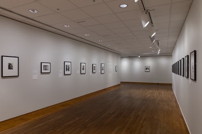 Installation view 5 of 8