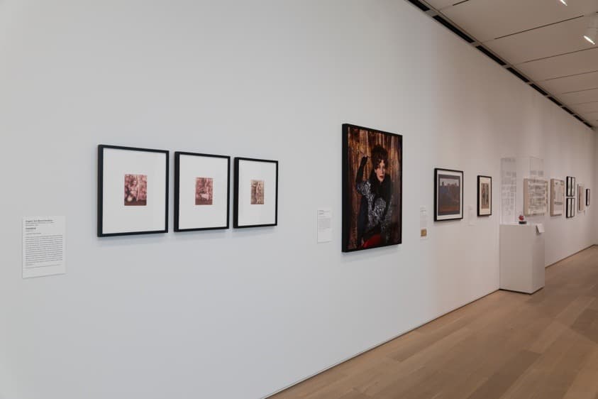 Installation view 3 of 5