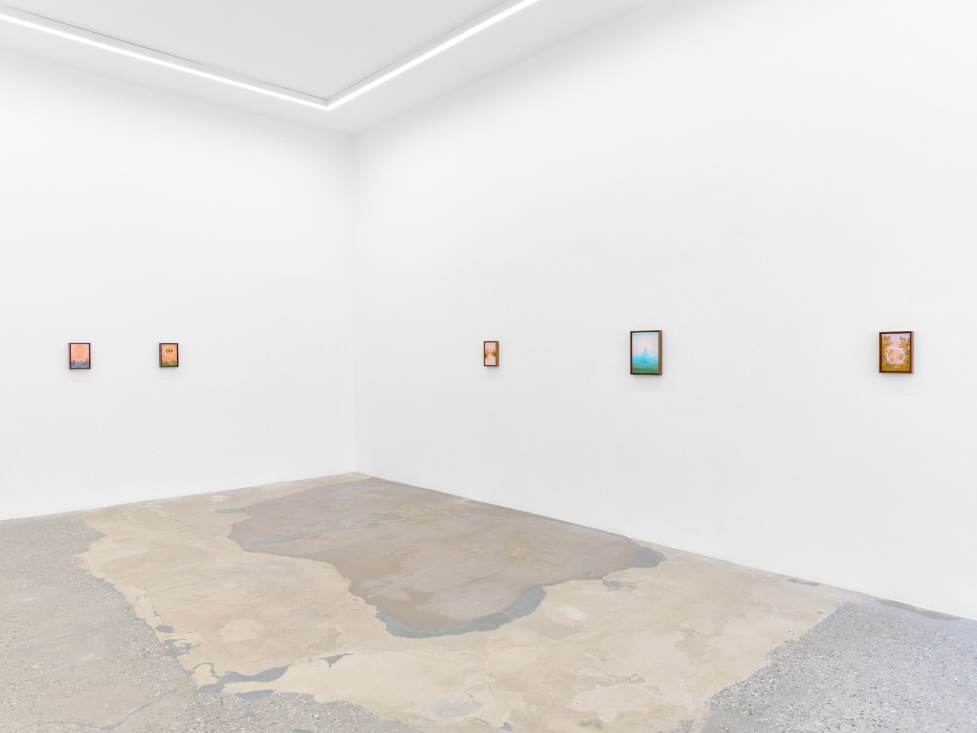Installation view