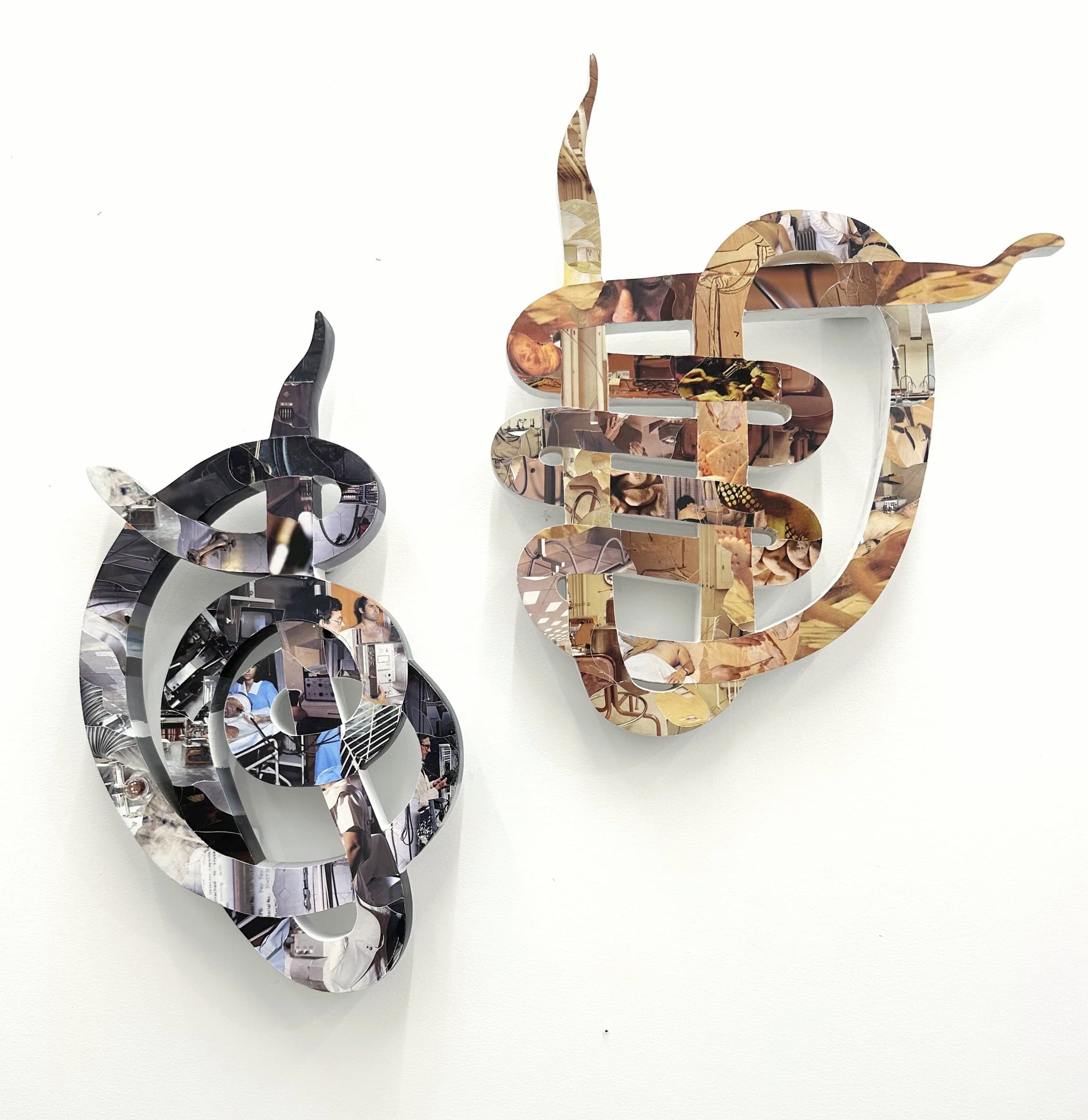 Between Shape and Schema