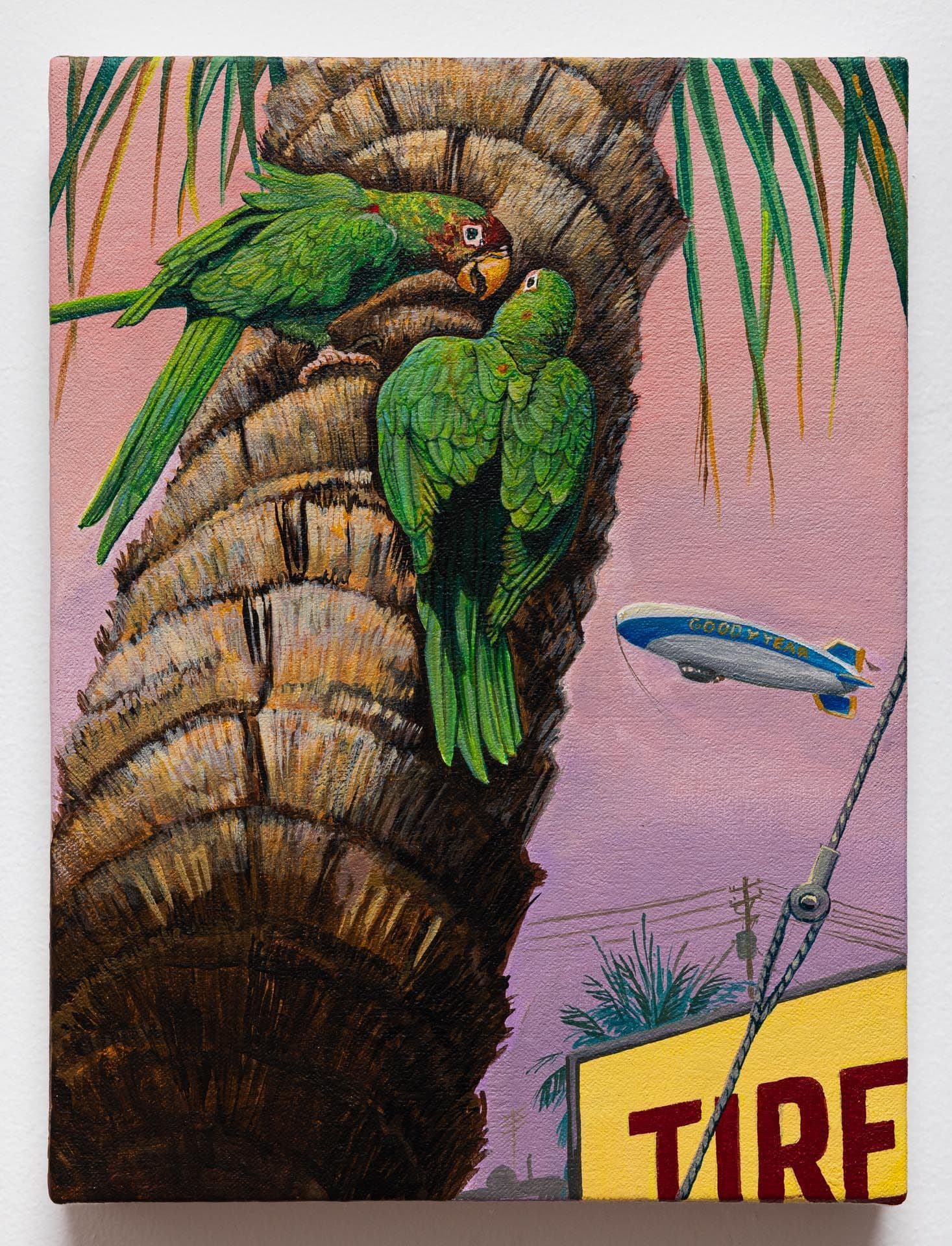 Sandow Birk