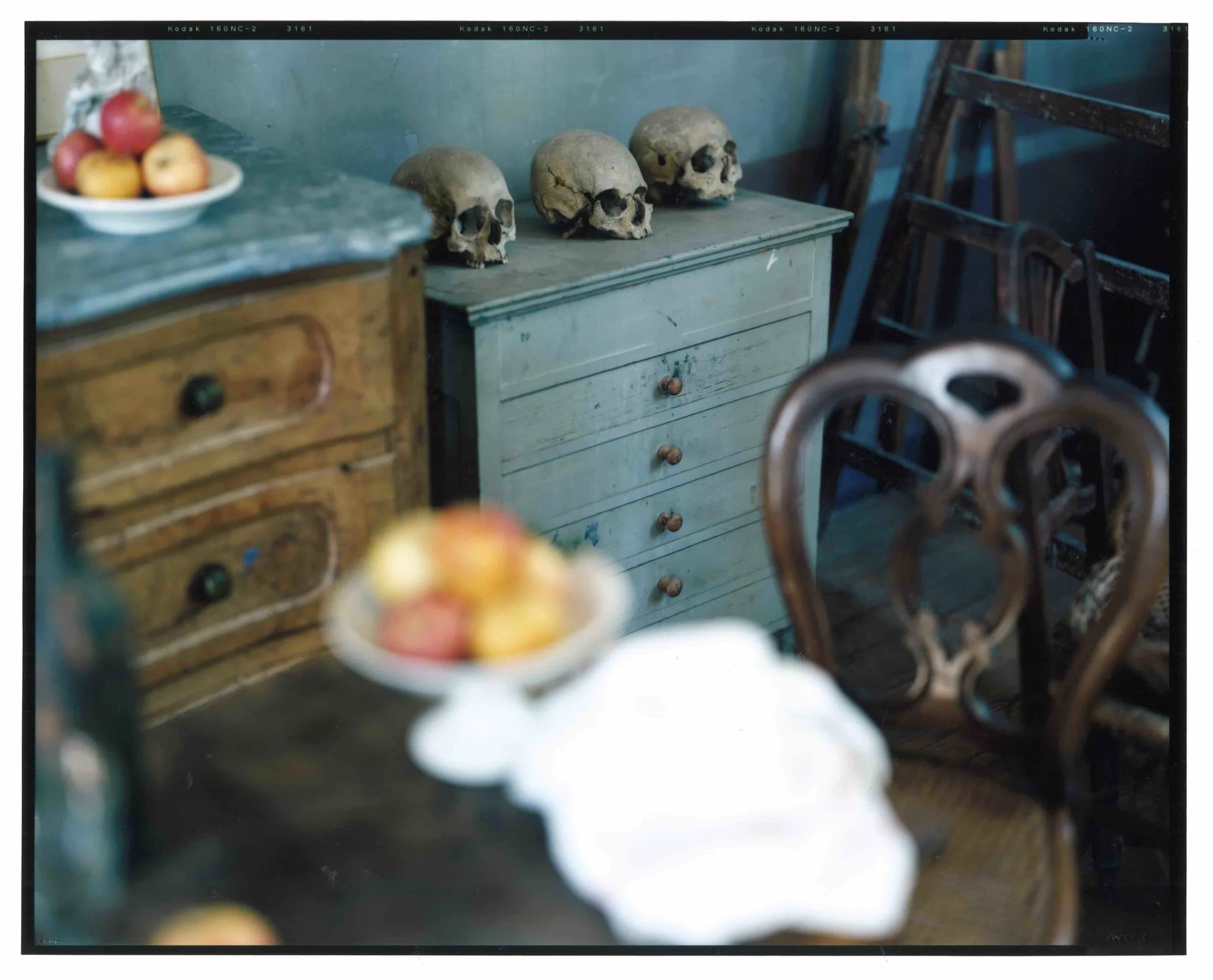 BOUND AND UNBOUND: The Photographic Book and the Print