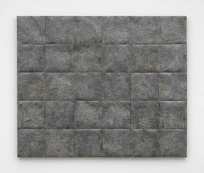 Michelle Stuart, Sabi, 1989, Encaustic, pigments, plants, and shale on double mounted muslin laminated rag paper mounted on canvas, 55 x 66 inches