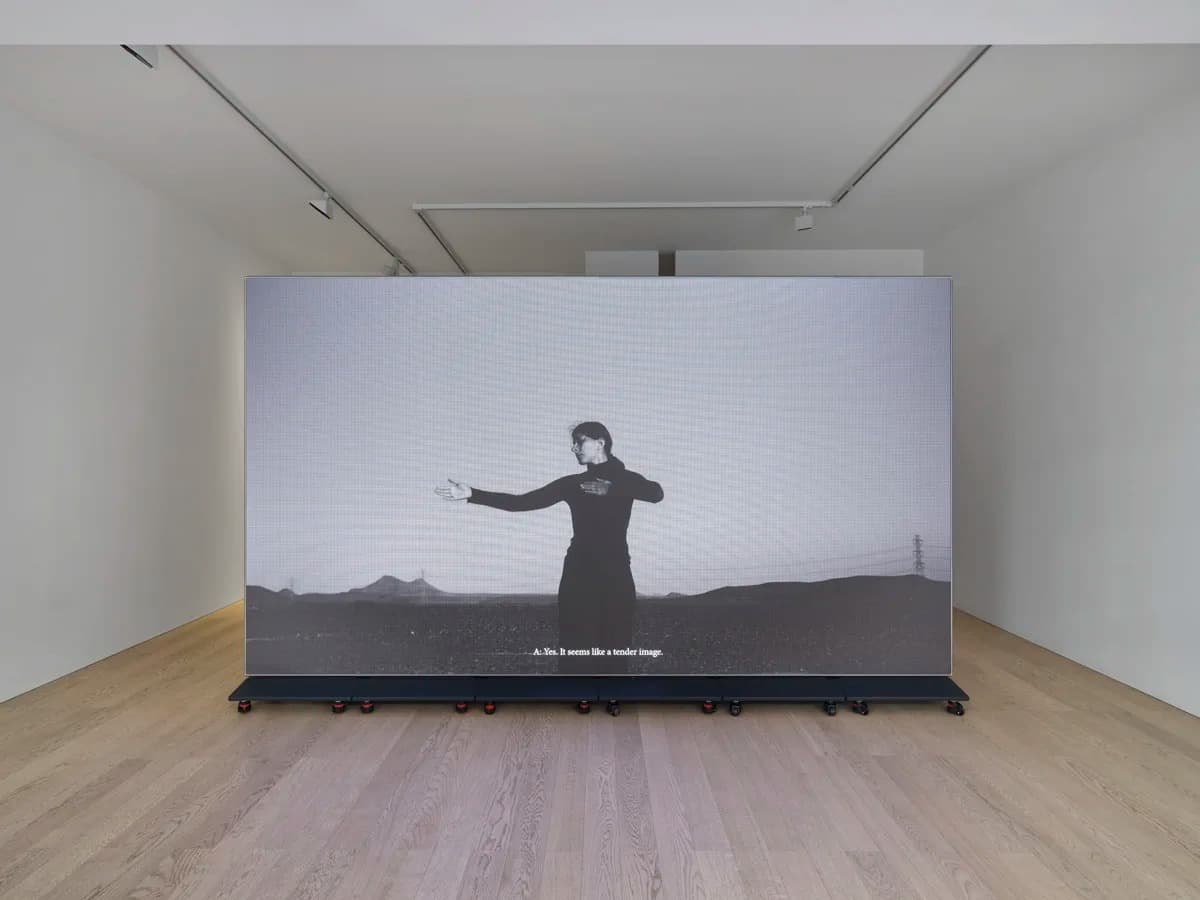 Installation view