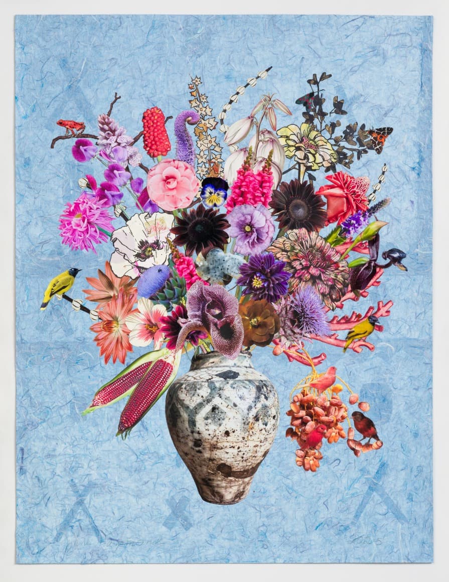 Chocolate Cosmos, String of Pearls