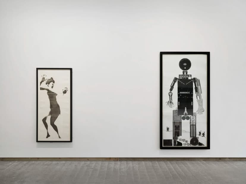 Installation view, Colin Self Unseen, Frith Street Gallery