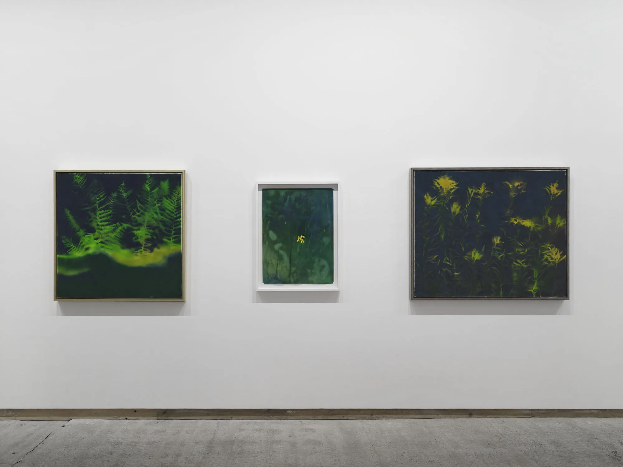 Installation view, Colin Self Unseen, Frith Street Gallery