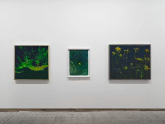 Installation view, Colin Self Unseen, Frith Street Gallery