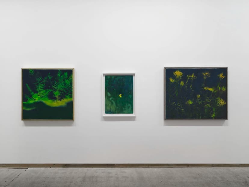 Installation view, Colin Self Unseen, Frith Street Gallery