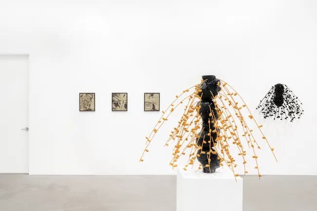 Installation view 7 of 8
