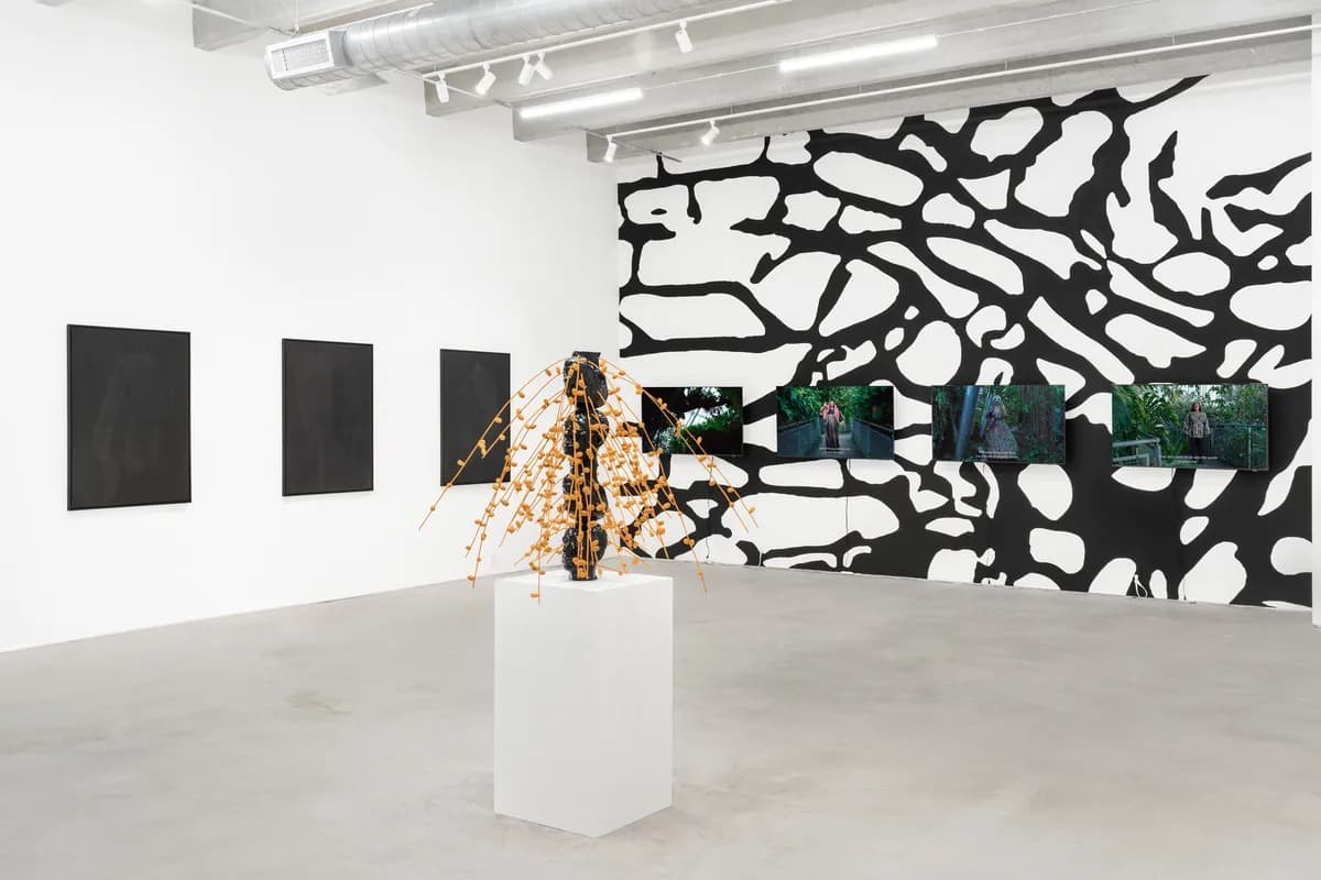 Mehdi-Georges Lahlou: Always Looking at Palm Trees - A Botanical Conversation