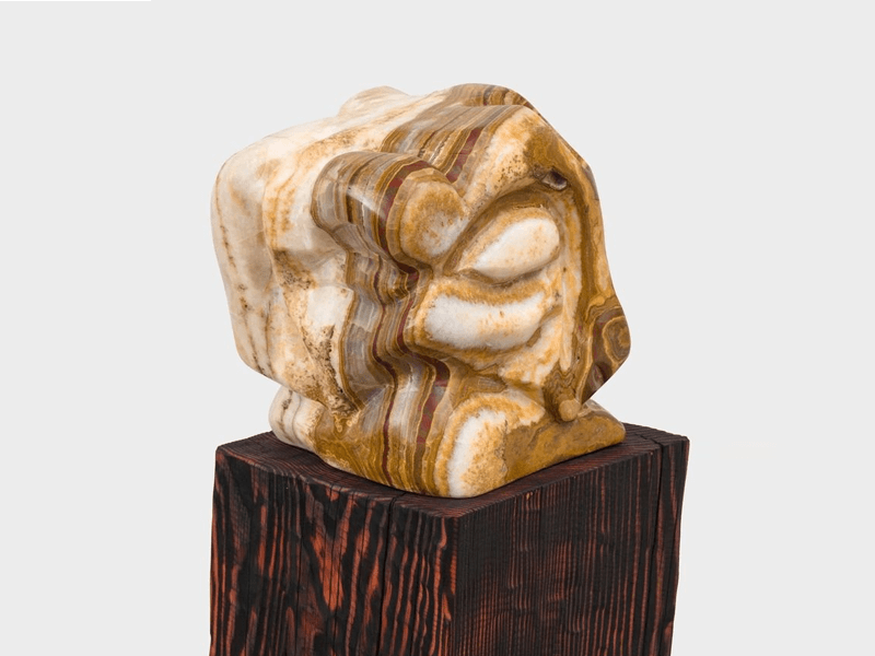 Ryan Schneider: Earth Canal