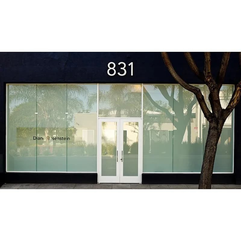 Diane Rosenstein Gallery