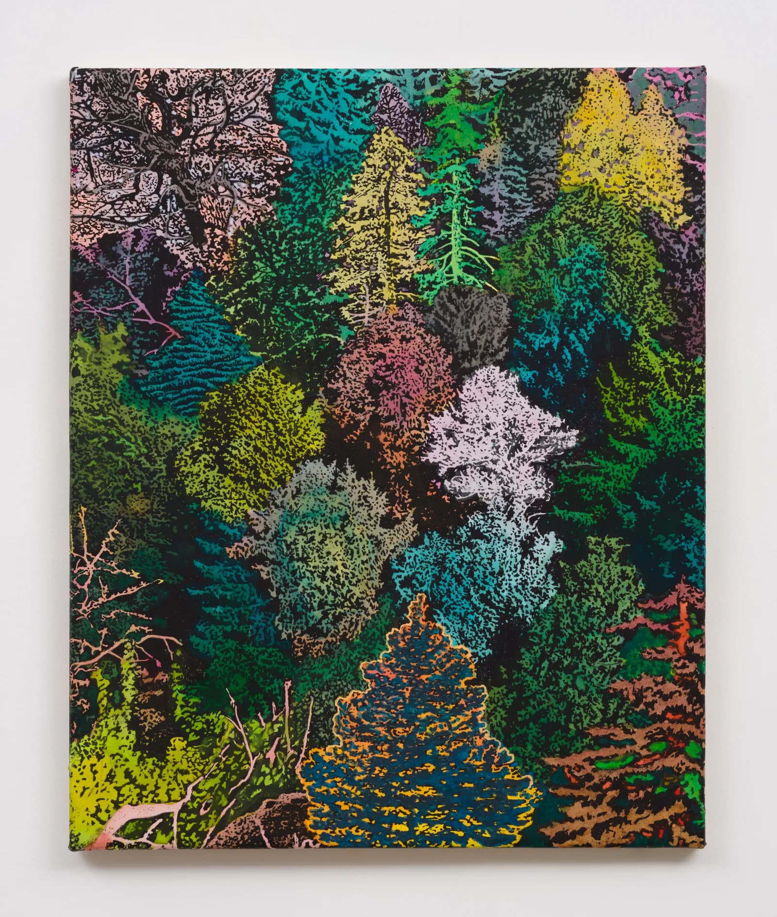 Aaron Morse, Wilderness (Color Variant), 2026