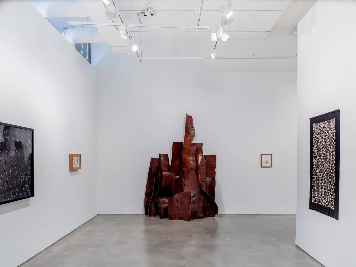 Installation view 7 of 17