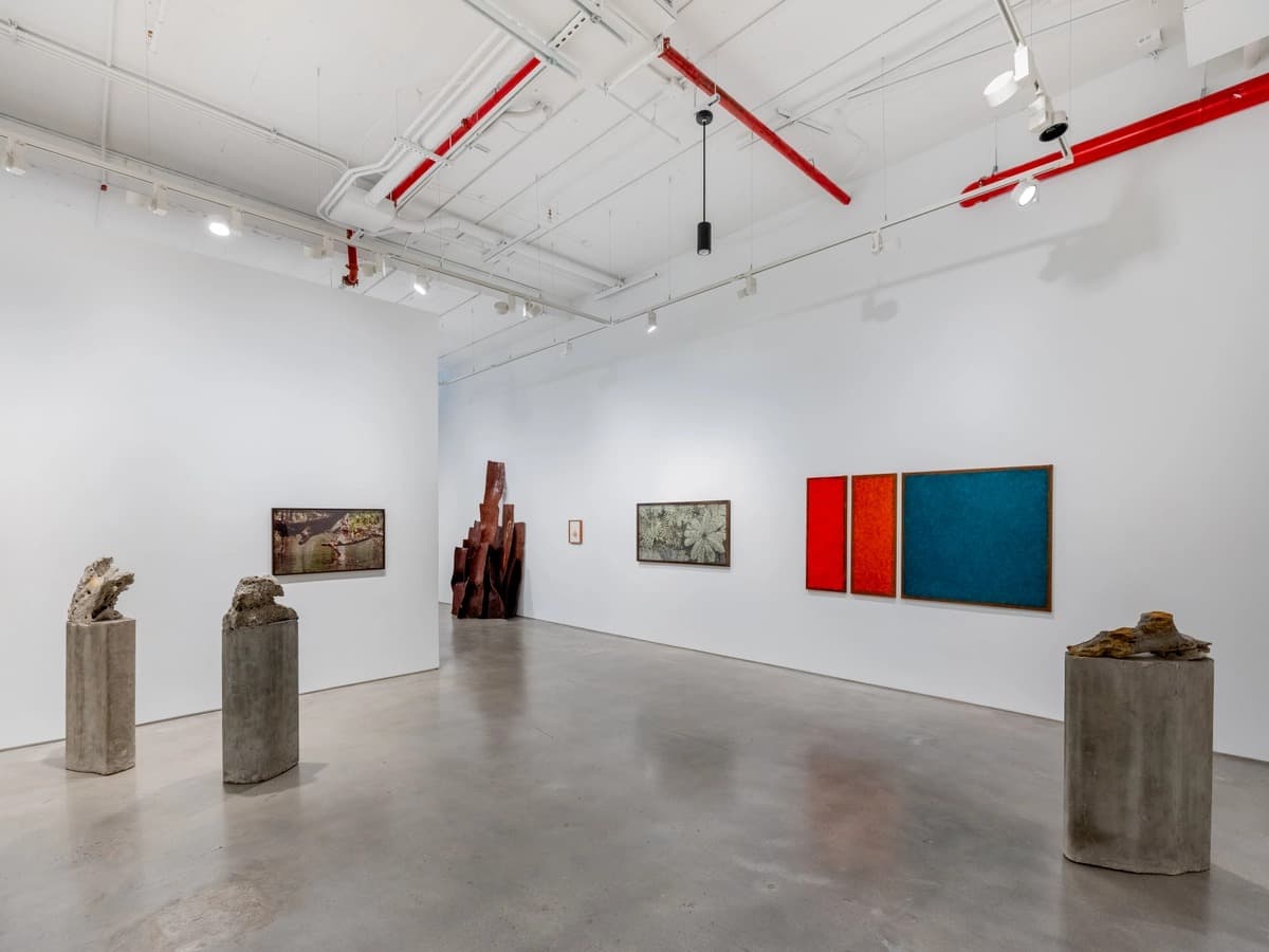 Installation view 11 of 17