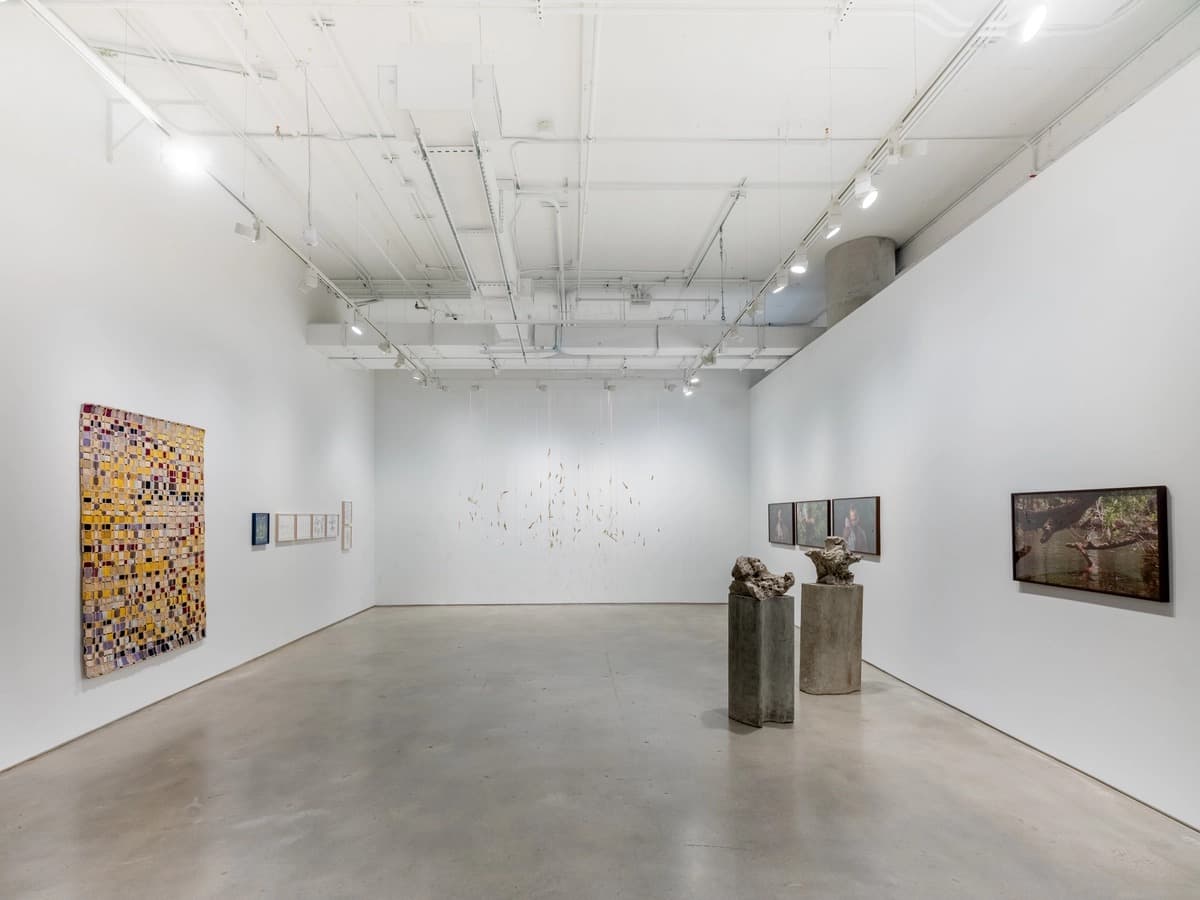 Installation view 12 of 17