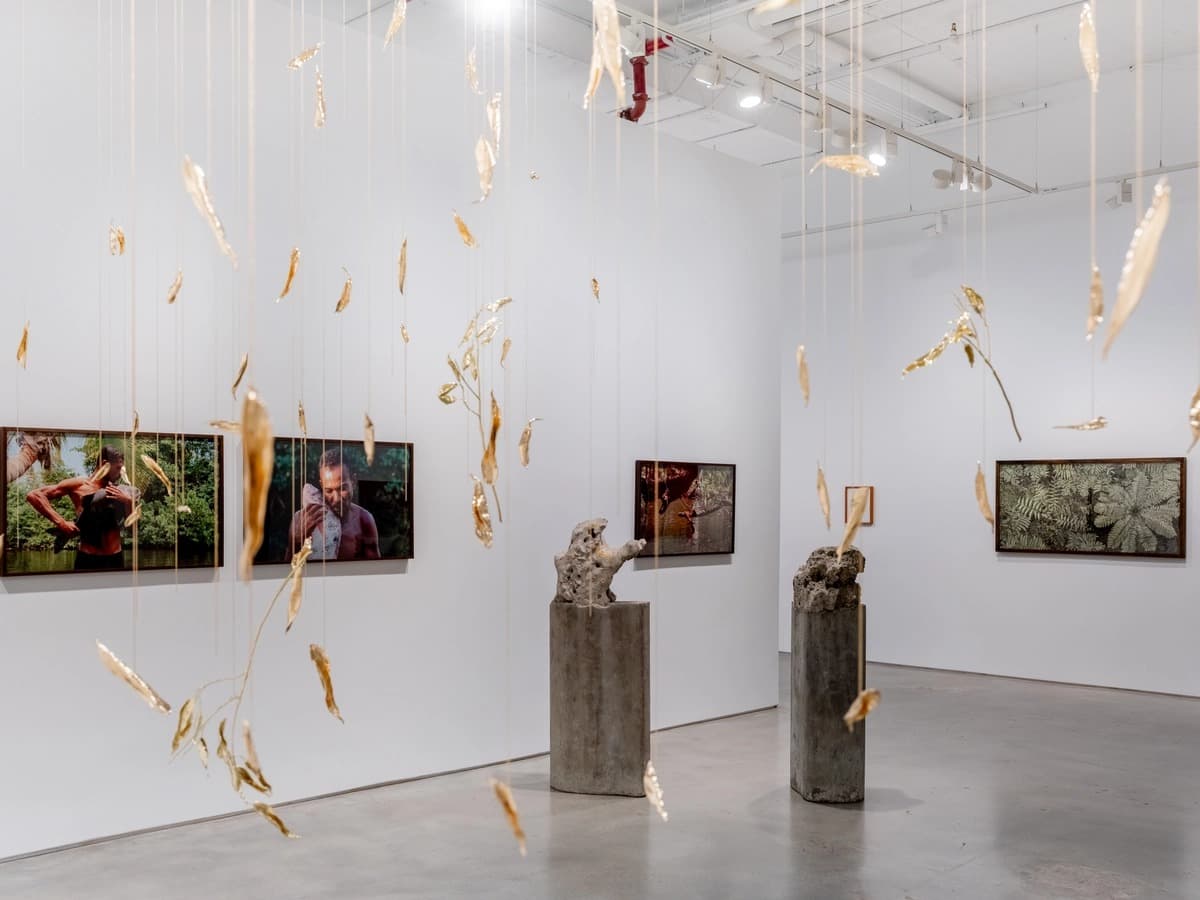 Installation view 4 of 17