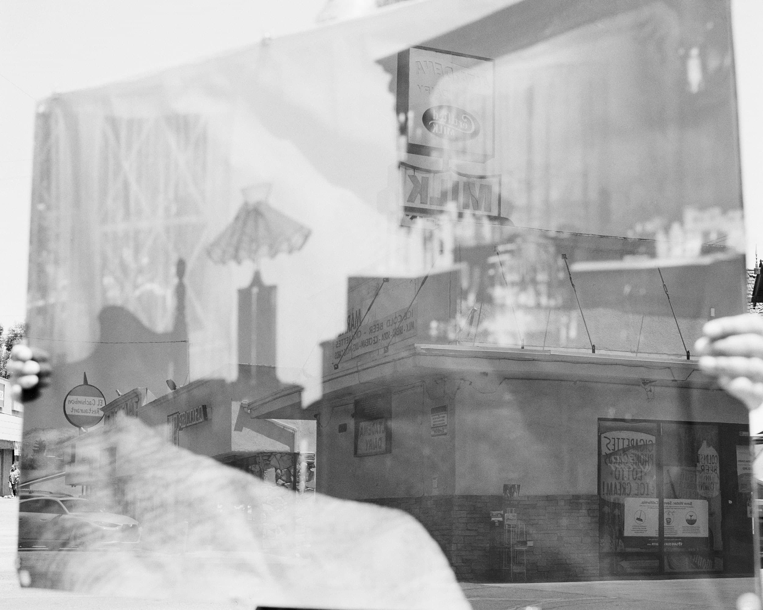 Here is the Land in Me / Aquí está la tierra en mí