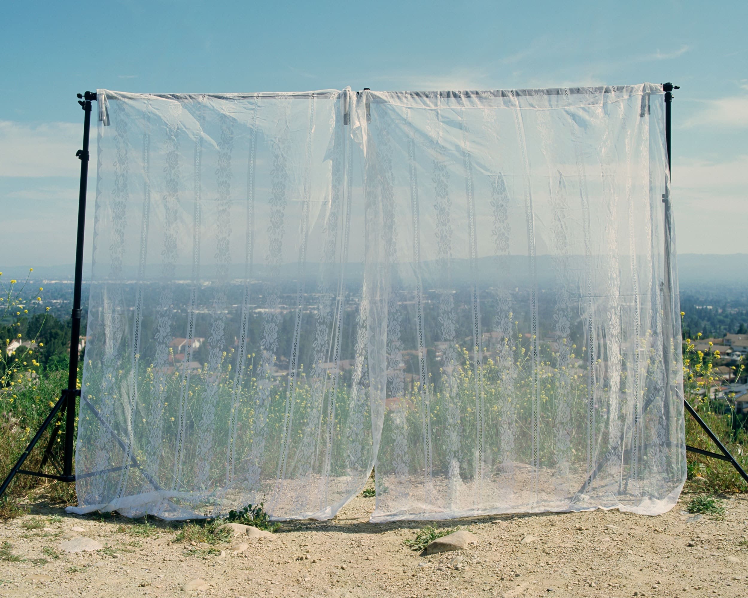 Here is the Land in Me / Aquí está la tierra en mí