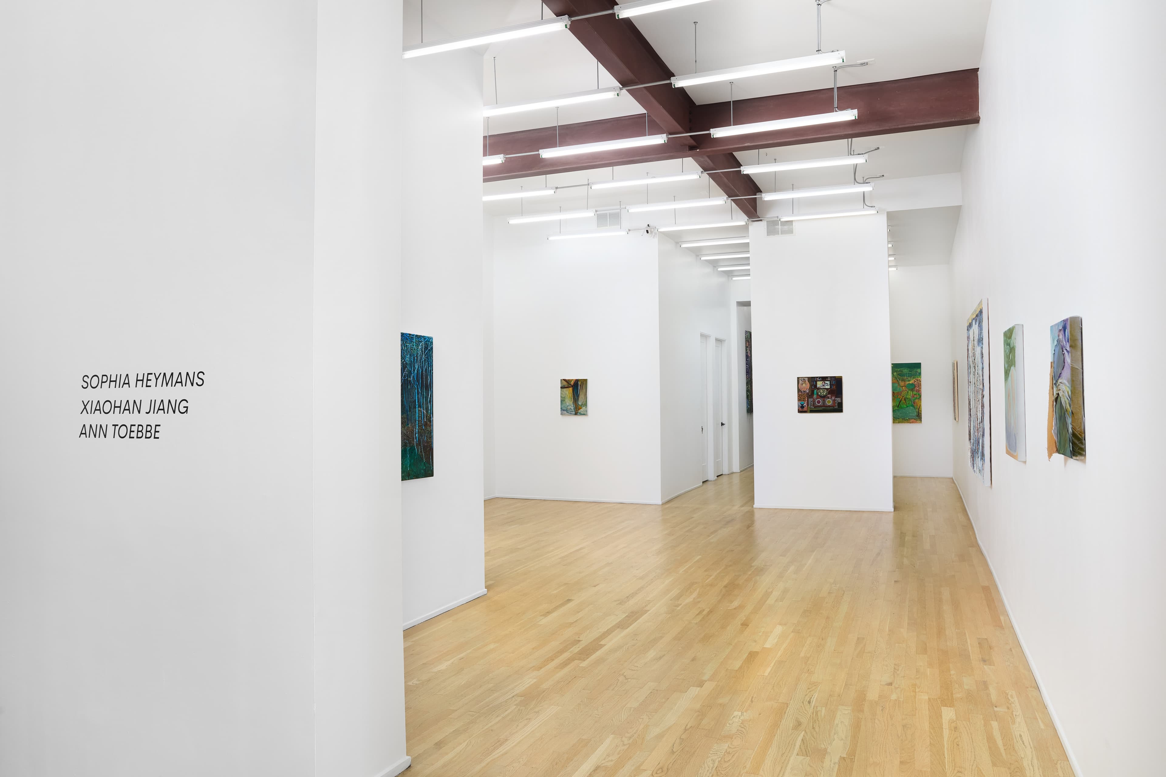 Installation view 1 of 7
