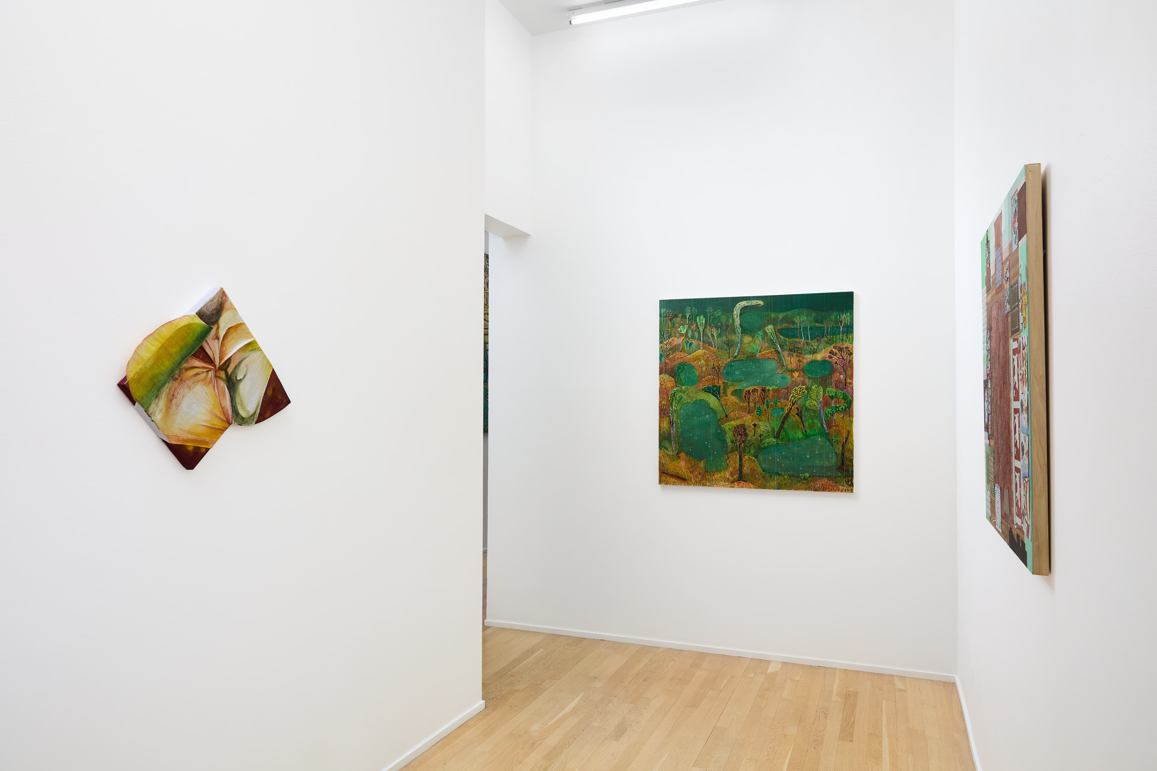 Installation view 4 of 7